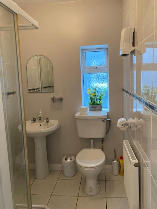 Estuary View Apartment キルラッシュ エクステリア 写真
